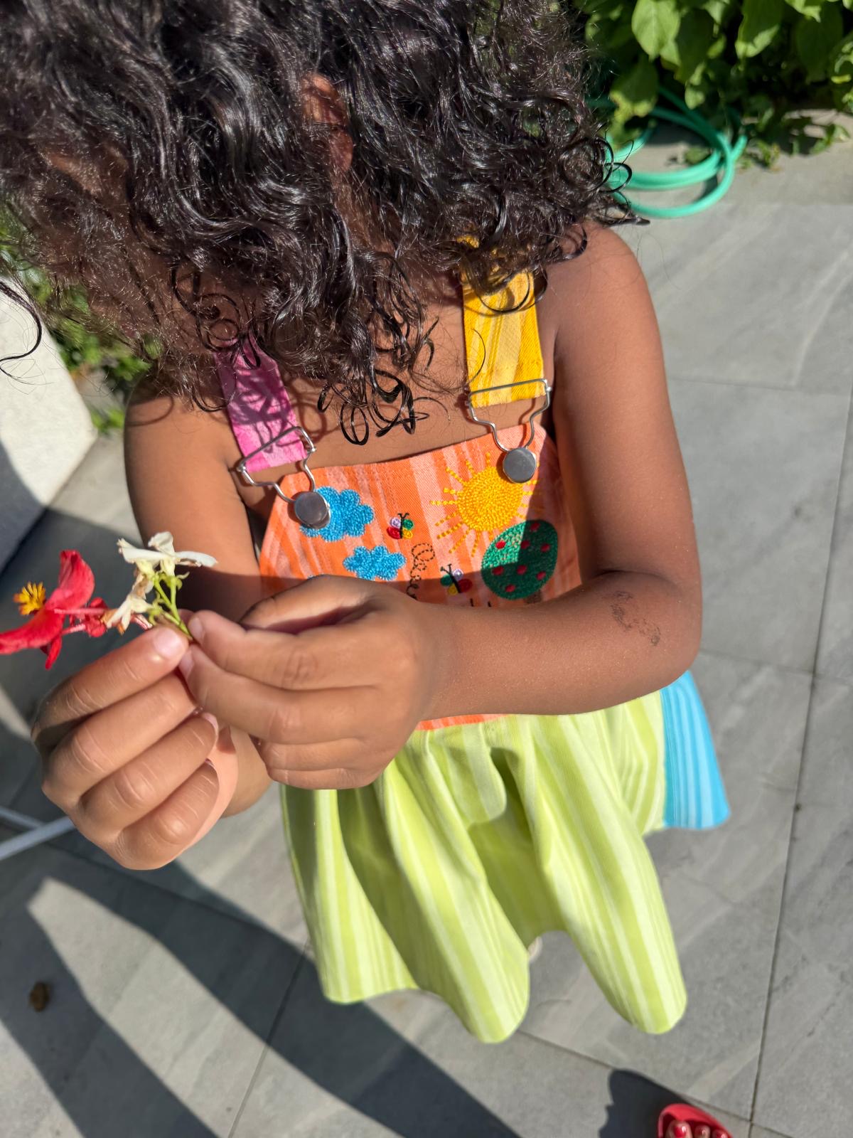 Rainbow Dress